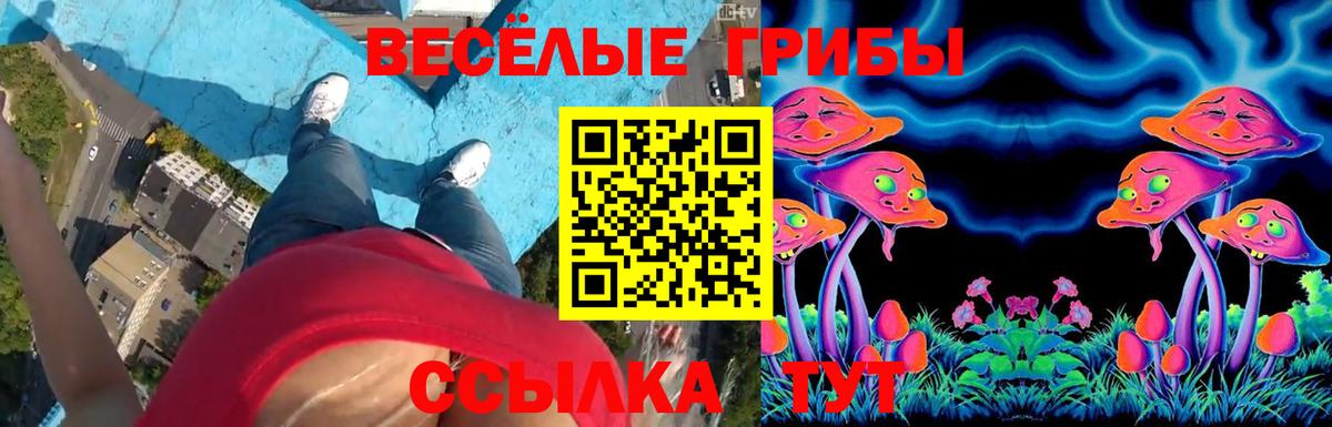Галлюциногенные грибы Psilocybine cubensis Строитель