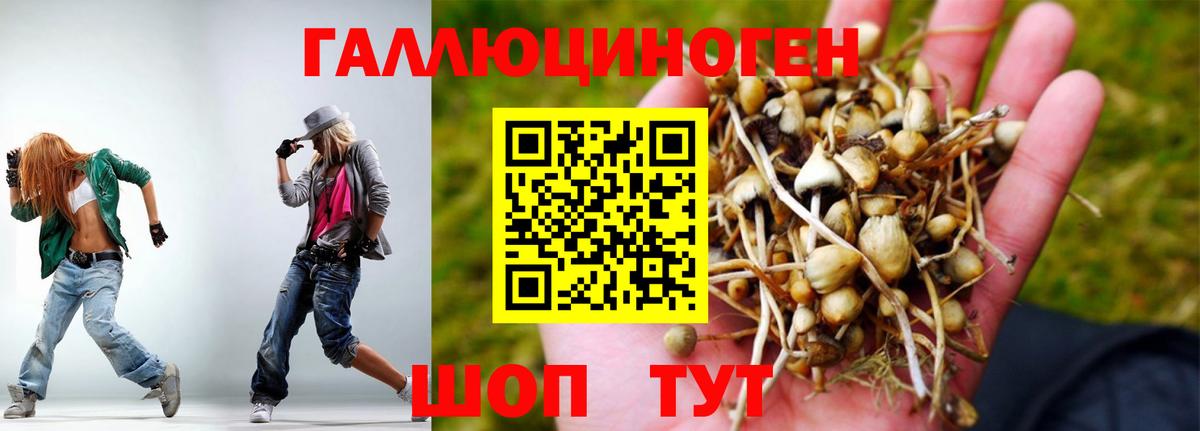 Строитель  Галлюциногенные грибы прущие грибы  Вход с VPN 