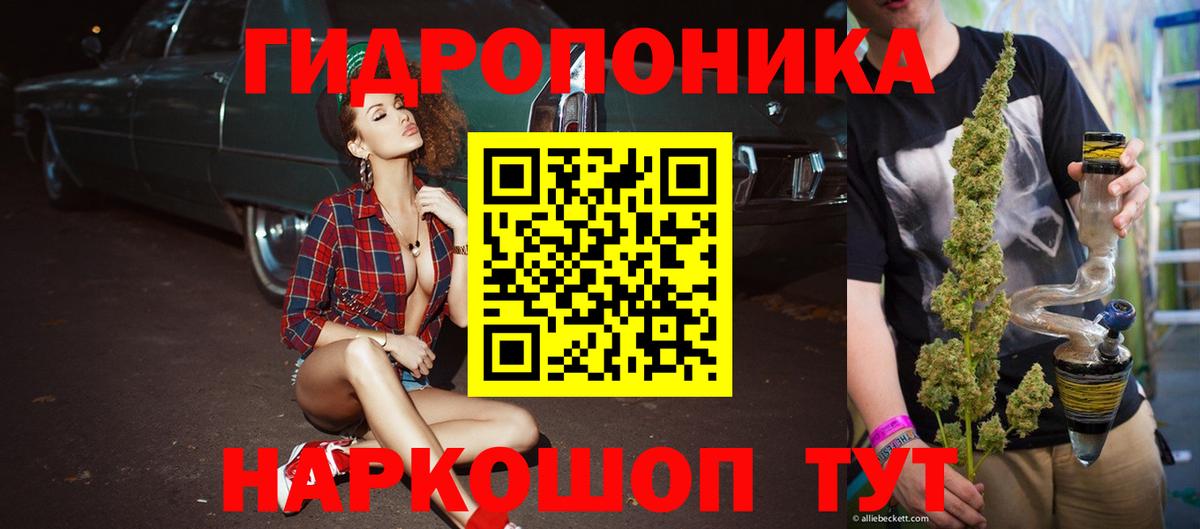 Каннабис сатива  Вход с VPN  МАРИХУАНА семена  Строитель  Конопля планчик 